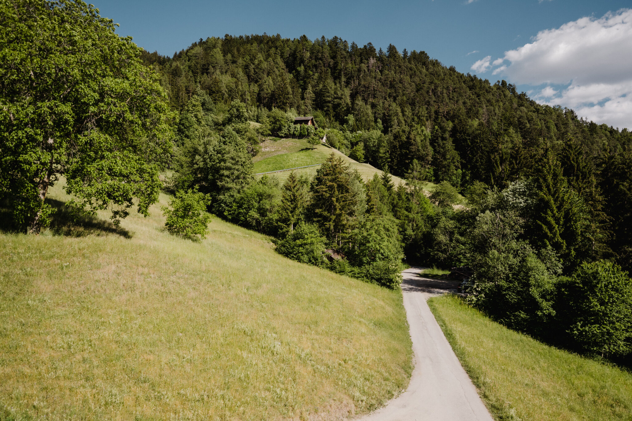 Gfohlerhof